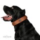 Royal Tan Leather Dog Collar - "Retro Flora" Decor by Artisan