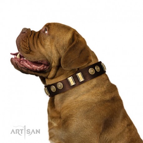 Decorated brown Leather Dog Collar - "Embossed Elegance" Brass Decor by Artisan