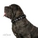 Fabulous Black Leather Dog Collar  - "Starry Beauty" Chrome Plated Decor by Artisan