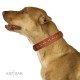 Fabulous Tan Leather Dog Collar  - "Starry Beauty" Chrome Plated Decor by Artisan