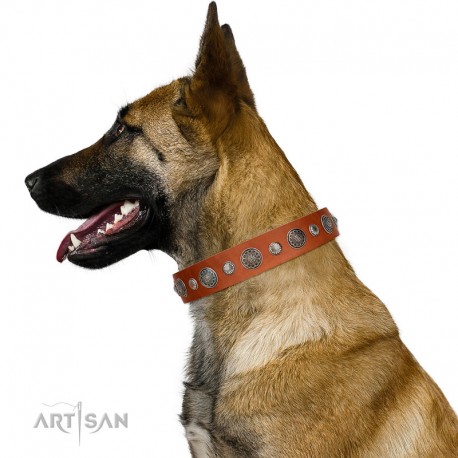 Decorated Tan Leather Dog Collar - "Vintage Elegance" Chrome Plated Decor by Artisan