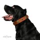 Decorated Tan Leather Dog Collar - "Hip&Edgy" Brass Decor by Artisan