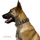Leather Dog Collar with Brass Decor - Jolly Roger" Handcrafted by Artisan"
