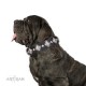 Decorated Leather Dog Collar with Nickel Plated Decor - Medieval Beauty" Handcrafted by Artisan"