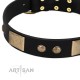 "Antique Gloss" FDT Artisan Black Leather Dog Collar with Bronze-like Plates and Small Studs