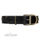 "Antique Gloss" FDT Artisan Black Leather Dog Collar with Bronze-like Plates and Small Studs