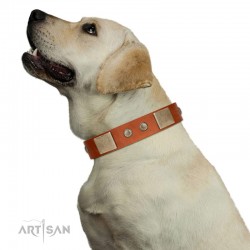 "Ancient Treasures" FDT Artisan Tan Leather Dog Collar with Antiqued Plates and Studs