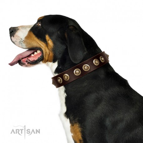 "Woofy Art" FDT Artisan Brown Leather Dog Collar Adorned with Old Bronze-like Studs