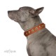 "Precious Relic" FDT Artisan Tan Leather Dog Collar Adorned with Old Bronze Look Studs