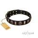 "Skull's Adventure" FDT Artisan Brown Leather Dog Collar with Plates and Ovals