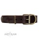 "Skull's Adventure" FDT Artisan Brown Leather Dog Collar with Plates and Ovals