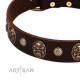 "Snazzy Paws" FDT Artisan Brown Leather Dog Collar Adorned with Conchos and Medallions