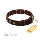 "Snazzy Paws" FDT Artisan Brown Leather Dog Collar Adorned with Conchos and Medallions