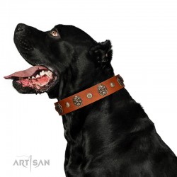 "Call of Feat" FDT Artisan Tan Leather Dog Collar with Old Bronze-like Studs and Oval Brooches