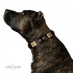 "Chicci-Glam" FDT Artisan Black Leather Dog Collar with Plates and Ornate Studs