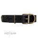 'Pirate's Spell' FDT Artisan Black Leather Dog Collar with Engraved Studs and Medallions
