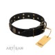 'Pirate's Spell' FDT Artisan Black Leather Dog Collar with Engraved Studs and Medallions