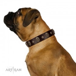 "Breaking the Horizon" FDT Artisan Brown Leather Dog Collar with Engraved Studs and Medallions