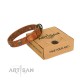 "Rockstar" FDT Artisan Tan Leather Dog Collar with Engraved Studs and Medallions