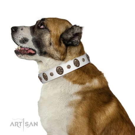 "Magic Bullet" FDT Artisan White Leather Dog Collar with Studs and Skulls