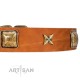 “Celtic Tunes” FDT Artisan Tan Leather Dog Collar Adorned with Stars and Squares
