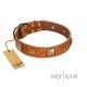 “Celtic Tunes” FDT Artisan Tan Leather Dog Collar Adorned with Stars and Squares
