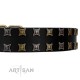"Refined Pattern" FDT Artisan Black Leather Dog Collar with Two Rows of Stunning Decorations