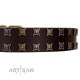 "Fido's Pleasure" FDT Artisan Brown Leather Dog Collar with Amazing Studs