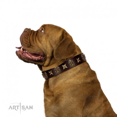 "Captain Hook" FDT Artisan Brown Leather Dog Collar with Stars and Skulls