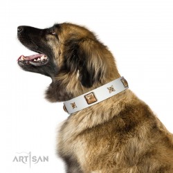 “Dog in White” FDT Artisan White Leather Dog Collar Adorned with Stars and Squares