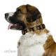 "Natural Grace" FDT Artisan Handmade Decorated Brown Leather Dog Collar