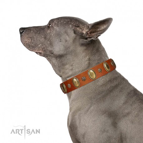 "Total Grace" FDT Artisan Tan Leather Dog Collar with Eye-catchy Ovals and Small Studs