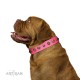 "Pawty Time" FDT Artisan Pink Leather Dog Collar with Decorative Skulls and Brooches
