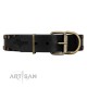 "Star Way" FDT Artisan Black Leather Dog Collar with Bronze-like Star Studs