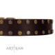 "To the Moon and Back" FDT Artisan Brown Leather Dog Collar with Bronze-like Star Studs
