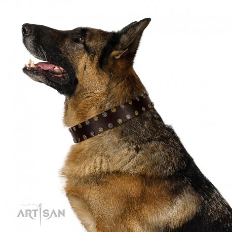 "To the Moon and Back" FDT Artisan Brown Leather Dog Collar with Bronze-like Star Studs