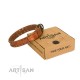 "Walk and Shine" FDT Artisan Tan Leather Dog Collar with Antiqued Studs