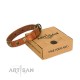 "Knights Templar" FDT Artisan Tan Leather Dog Collar with Skulls and Crossbones Combined with Squares