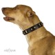 "De Luxe" FDT Artisan Black Leather Dog Collar with Old Bronze-like Plates and Studs