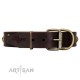 "Blinking Illusion" FDT Artisan Brown Leather Dog Collar with Old Bronze-like Studs and Plates