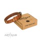 "Sand of Time" FDT Artisan Tan Leather Dog Collar with Old Bronze-like Studs and Plates