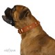 "Sand of Time" FDT Artisan Tan Leather Dog Collar with Old Bronze-like Studs and Plates