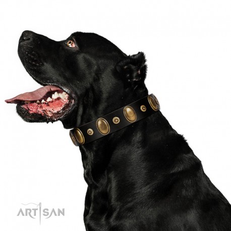 "Retro Pusle" FDT Artisan Brown Leather Dog Collar with Old Bronze-like Studs and Oval Brooches