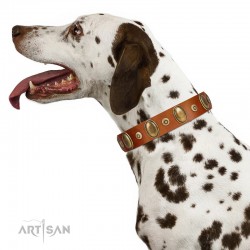 "Crystal Sand" FDT Artisan Tan Leather Collar with Vintage Looking Oval and Round Studs
