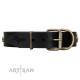 "Black Corsair" FDT Artisan Leather Dog Collar with Old Bronze-like Skulls and Plates