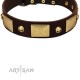 "Heavy Metal" FDT Artisan Brown Leather Dog Collar with Old Bronze-like Skulls and Plates