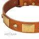 "Mutt The Daredevil" FDT Artisan Tan Leather Dog Collar with Old Bronze-like Skulls and Plates