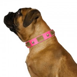 "Glammy Voyage" FDT Artisan Pink Leather Dog Collar with Stylish Bronze-like Decorations