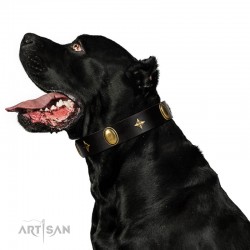 "Star Powder" FDT Artisan Black Leather Dog Collar with Ovals and Stars - 1 1/2 inch Wide