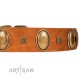 "Glossy Autumn" Designer Handmade FDT Artisan Tan Leather Dog Collar with Ovals and Studs